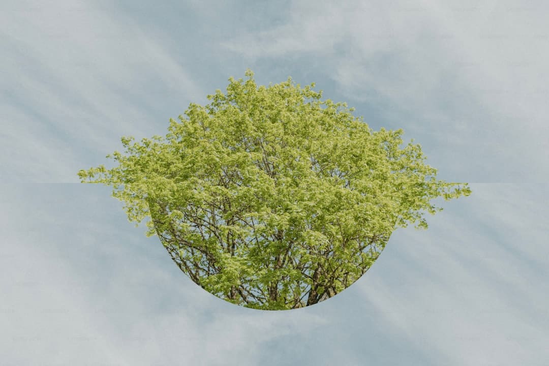 长泰:筑牢防汛屏障,溪东排涝站应急电源提前一周通电!